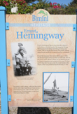 Reminiscenza di Hemingway a Bimini